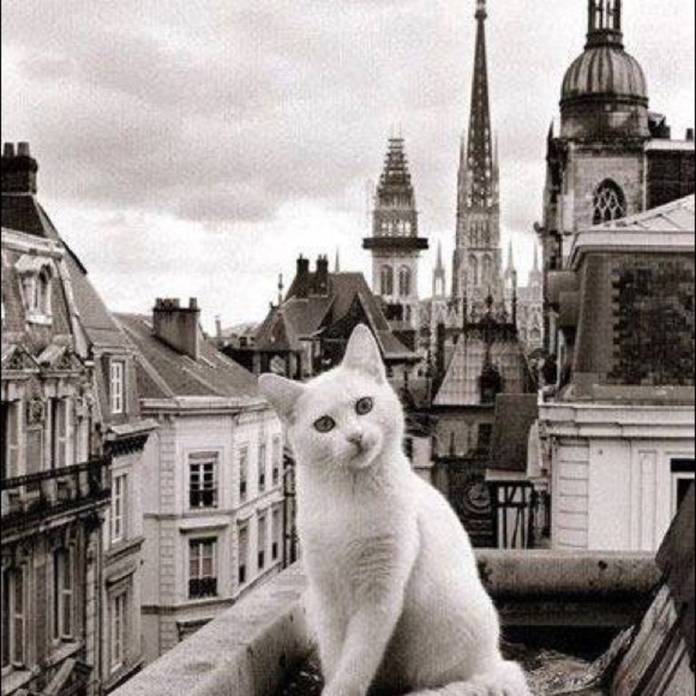 Meet your Posher, Esmerelda